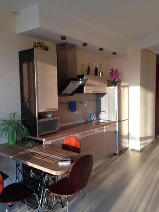 Апартаменты Most City Apartments Magnolia Днепр Улучшенные апартаменты-44